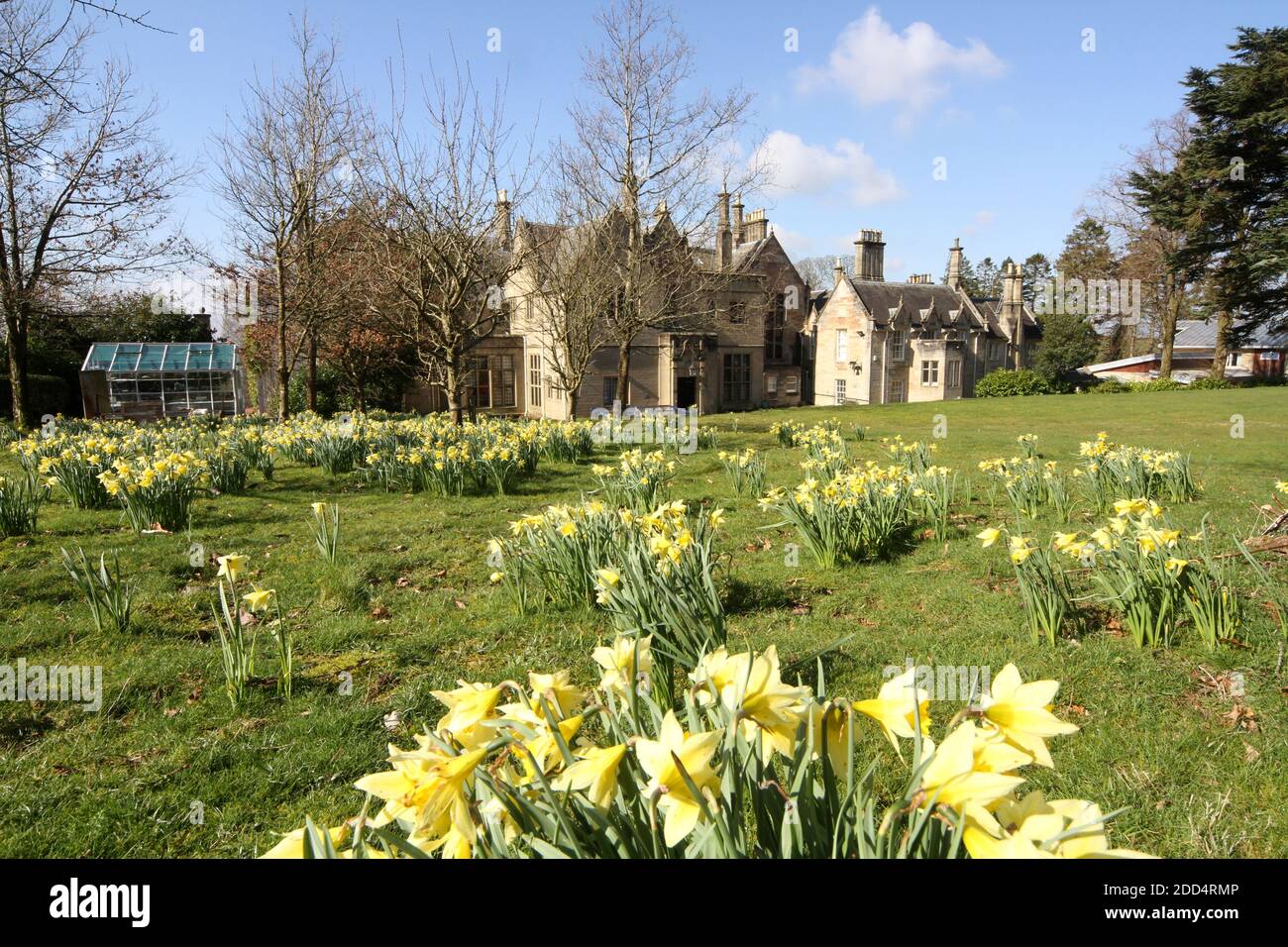 Hollybush ayrshire hires stock photography and images Alamy