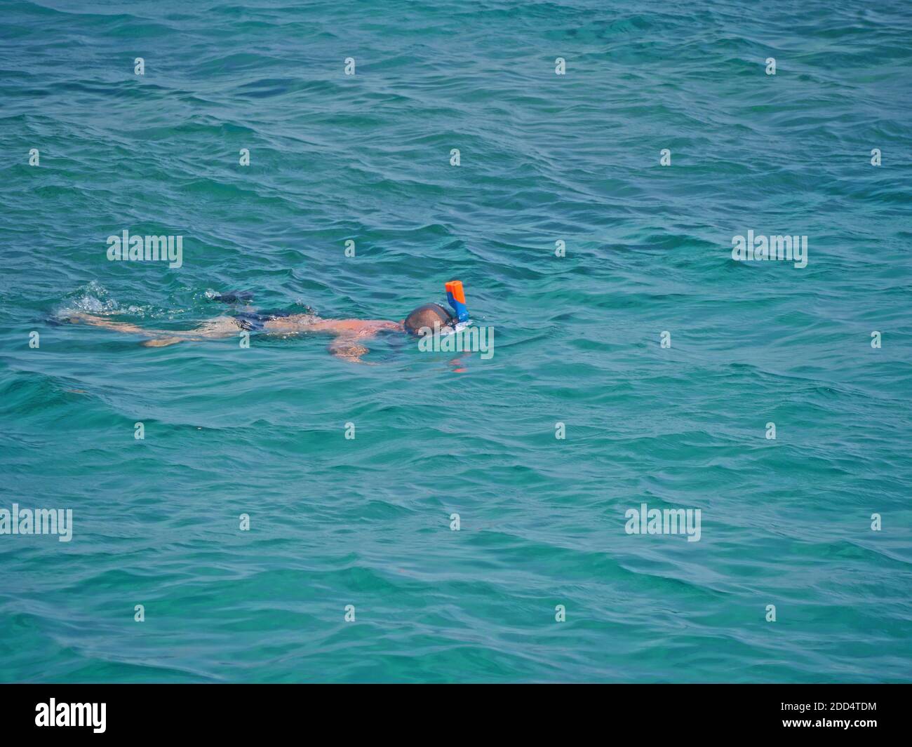 man in a mask dives under the water Stock Photo