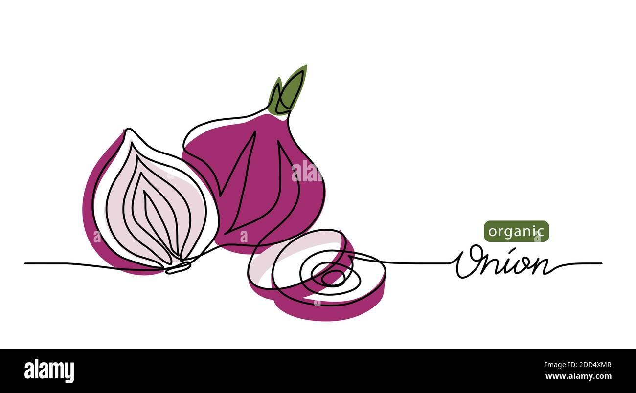 Red sweet onion vector sketch illustration, background. One line