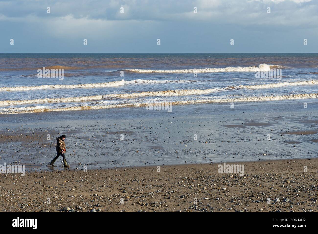 Man with metal detector on the beach at Hornsea, East Yorkshire, England UK Stock Photo Alamy