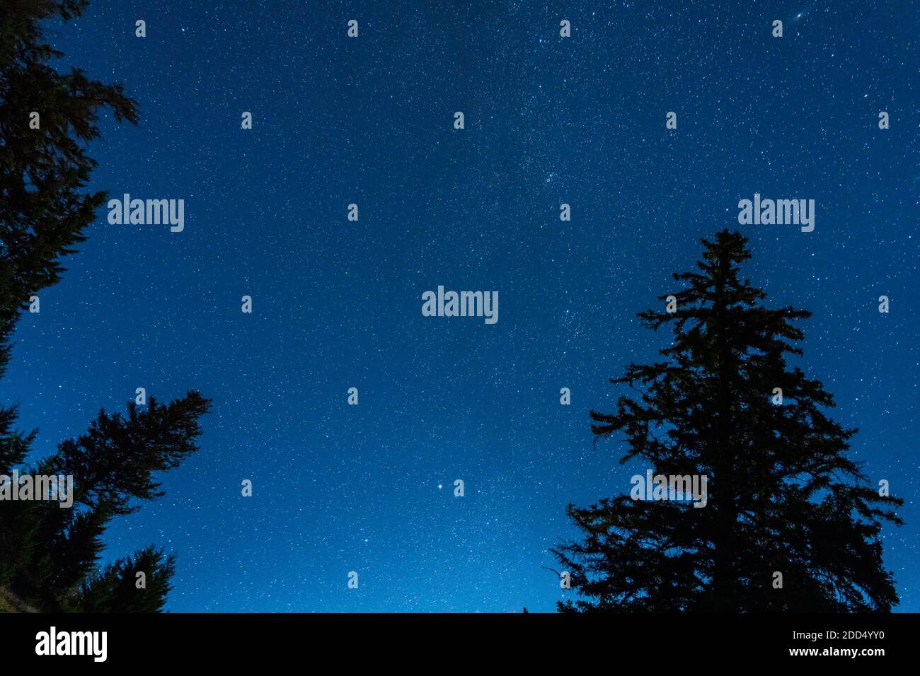 Starry night sky countryside hi-res stock photography and images - Alamy