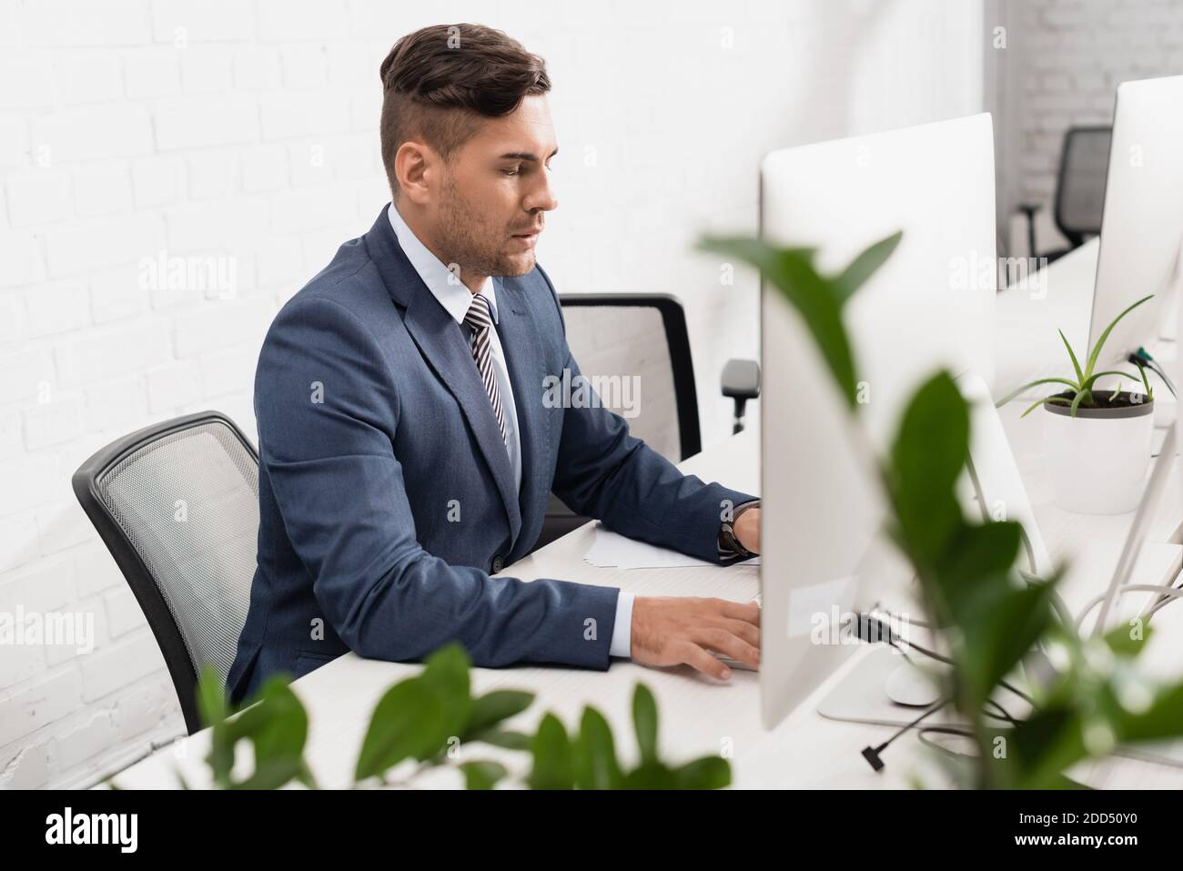 Serious executive using computer, while sitting at table in office with blurred plant on foreground Stock Photo