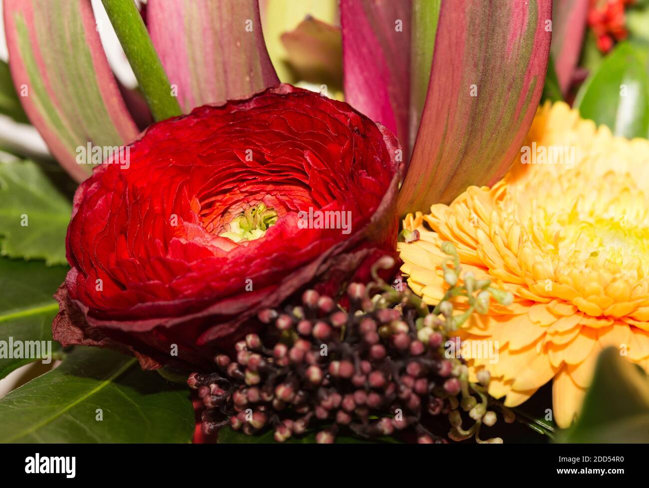 Beautiful multicolor bouquet with red and yellow flower Stock Photo