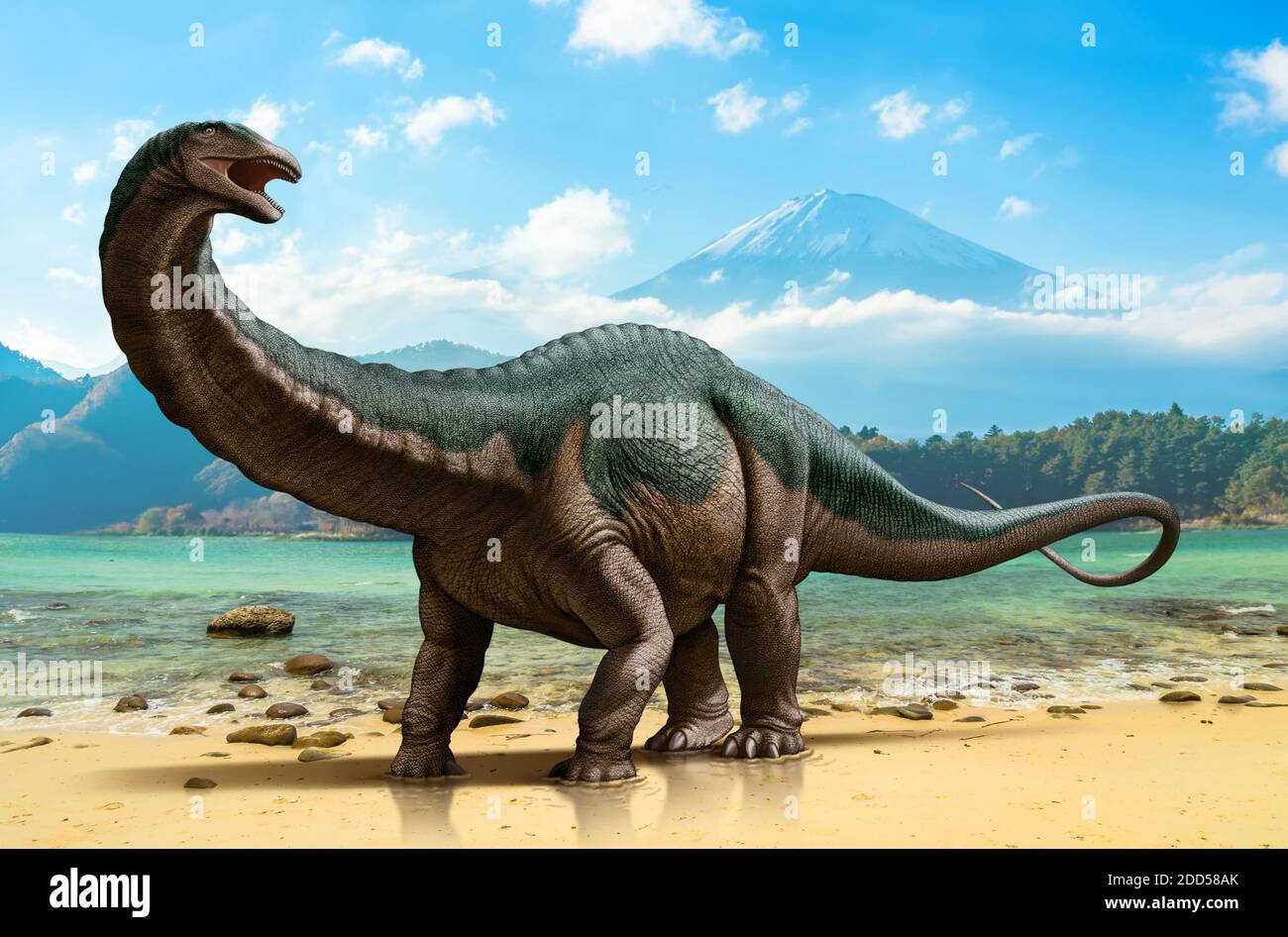 Apatosaurus louisae Stock Photo