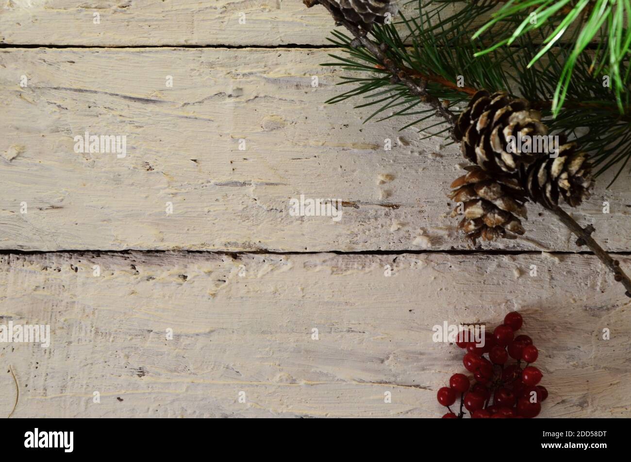 Merry Christmas and Happy New Year a branch of a Christmas tree with ...
