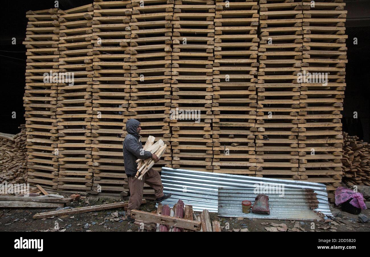 Srinagar, Indiancontrolled Kashmir. 24th Nov, 2020. A worker carries a