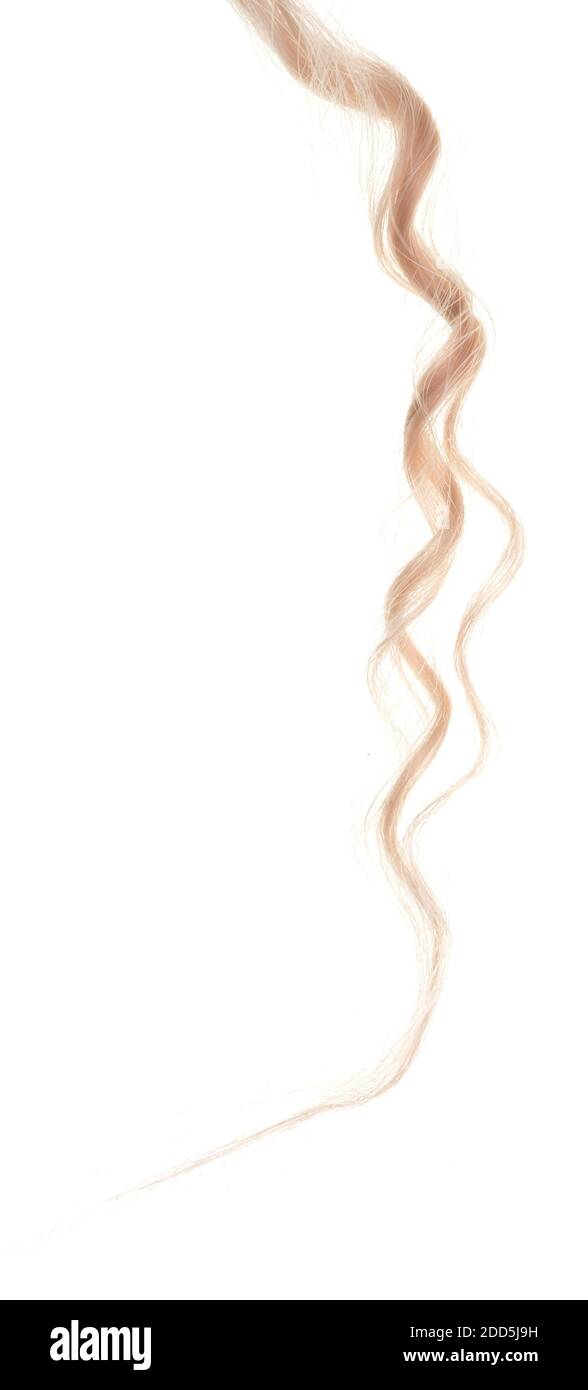 Blond hair isolated on white background Stock Photo