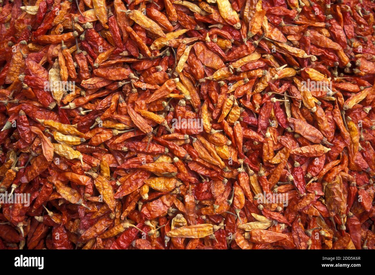 chili spices at the central market or Psar Thmei market in the city of