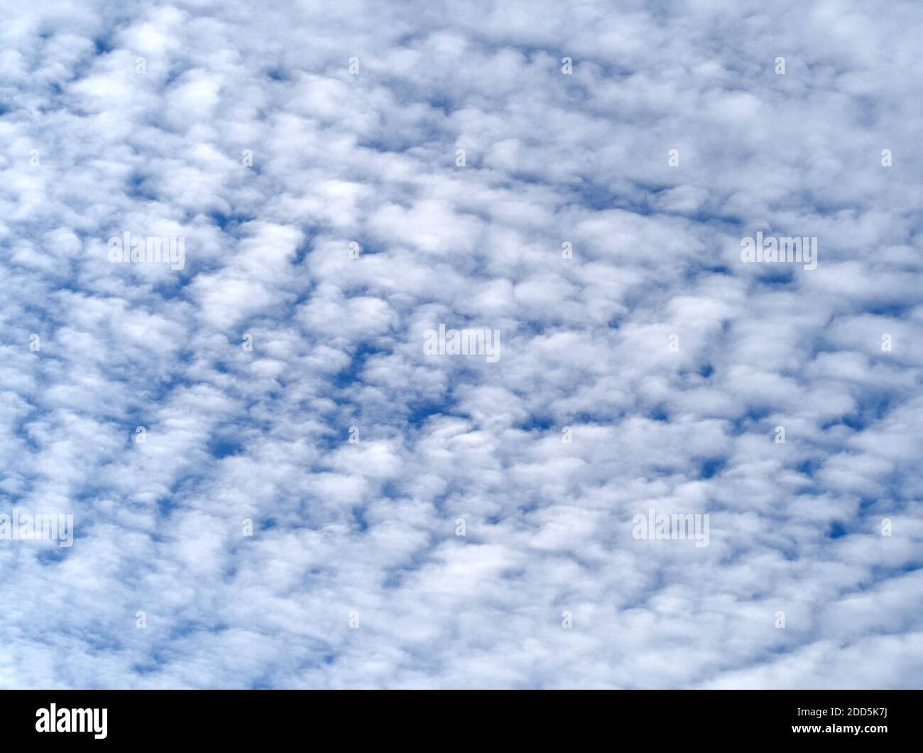 White Cirrocumulus Lamb Clouds on the Blue Sky Stock Photo