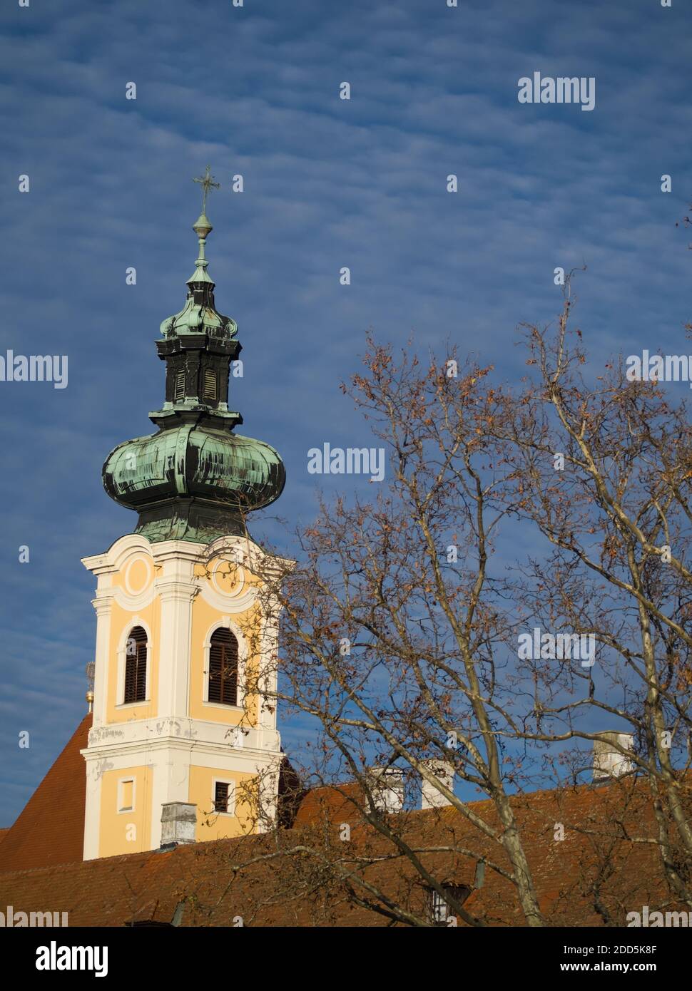 Carmelite Church Tower with Tree in Gyor, Hungary Stock Photo