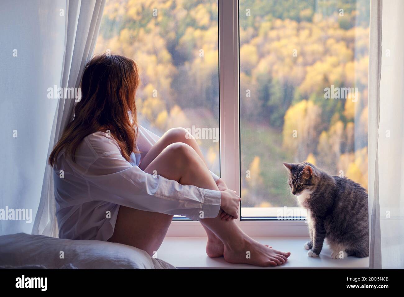 A young woman sits on a window sill in quarantine with pet. Sad autumn weather and home comfort Stock Photo