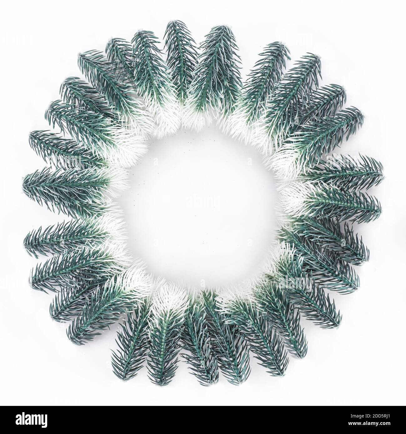 Christmas wreath made new year tree of fir branches round white ...