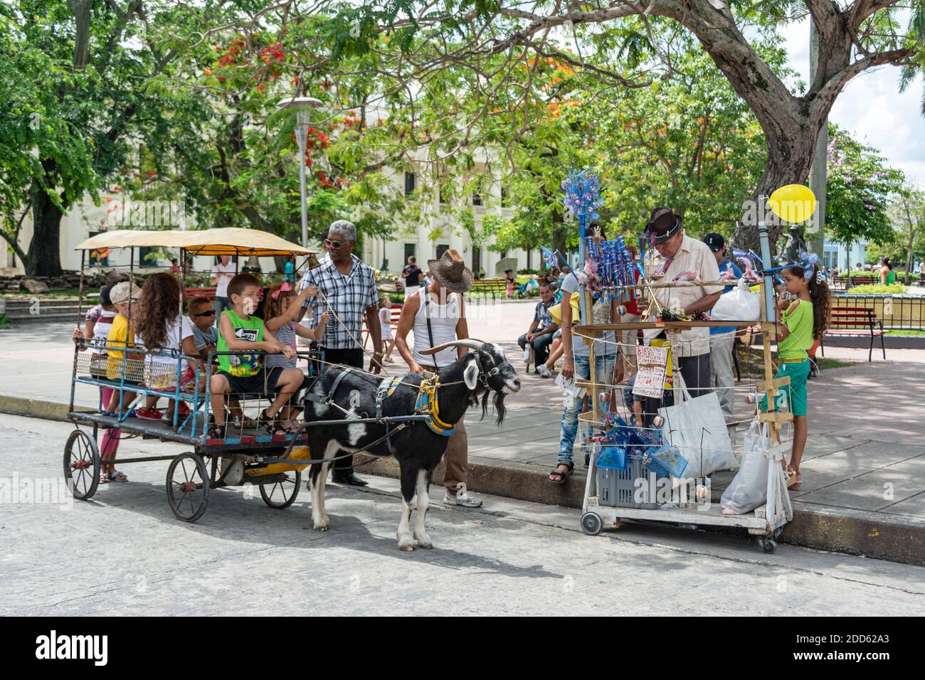 Traditional children goat-ride in Santa Clara, Cuba Stock Photo - Alamy