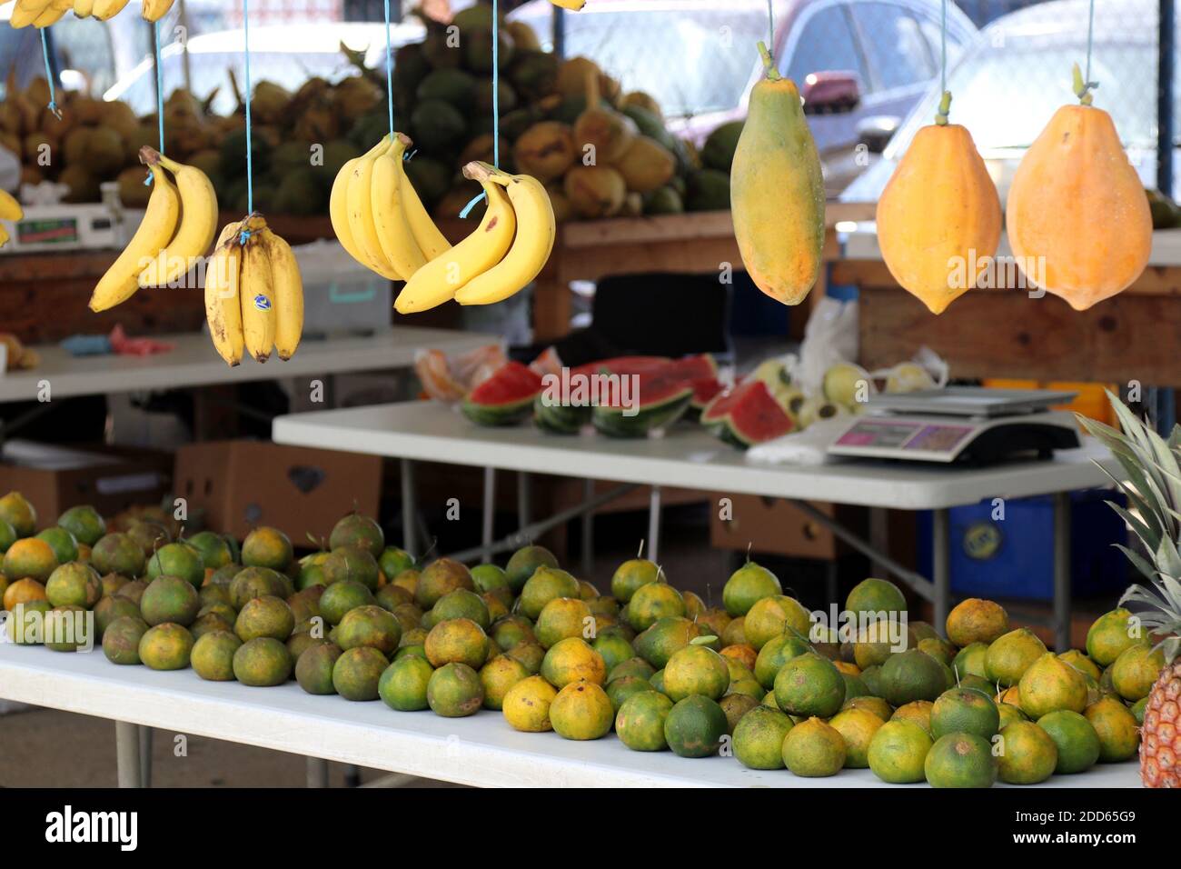 Variety of Fresh Fruits and Vegetables on Sale, New York, USA Stock