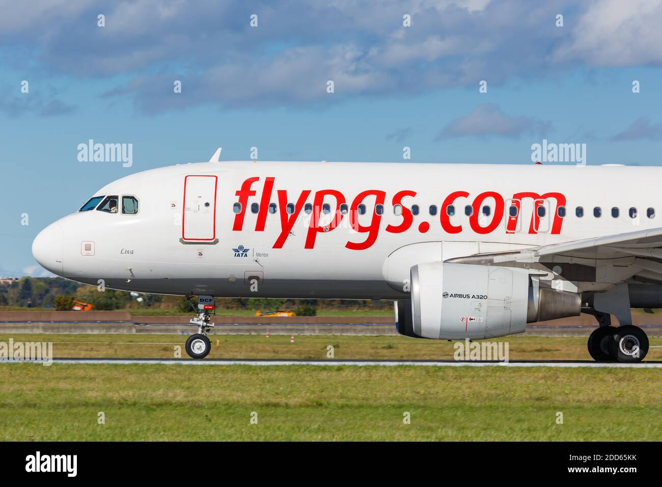 Flypgs hi-res stock photography and images - Alamy