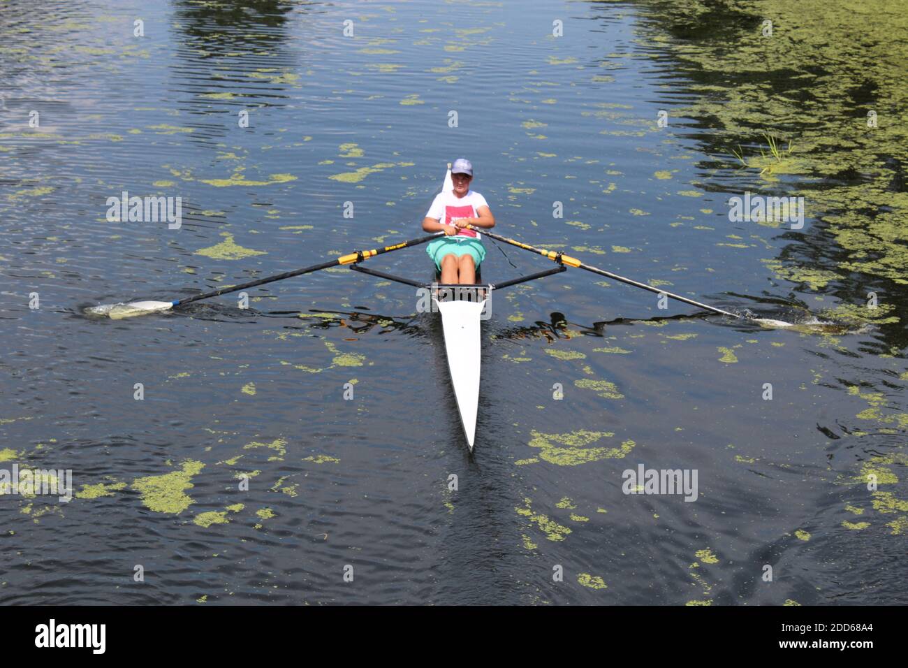 summer rowing sculling Stock Photo Alamy