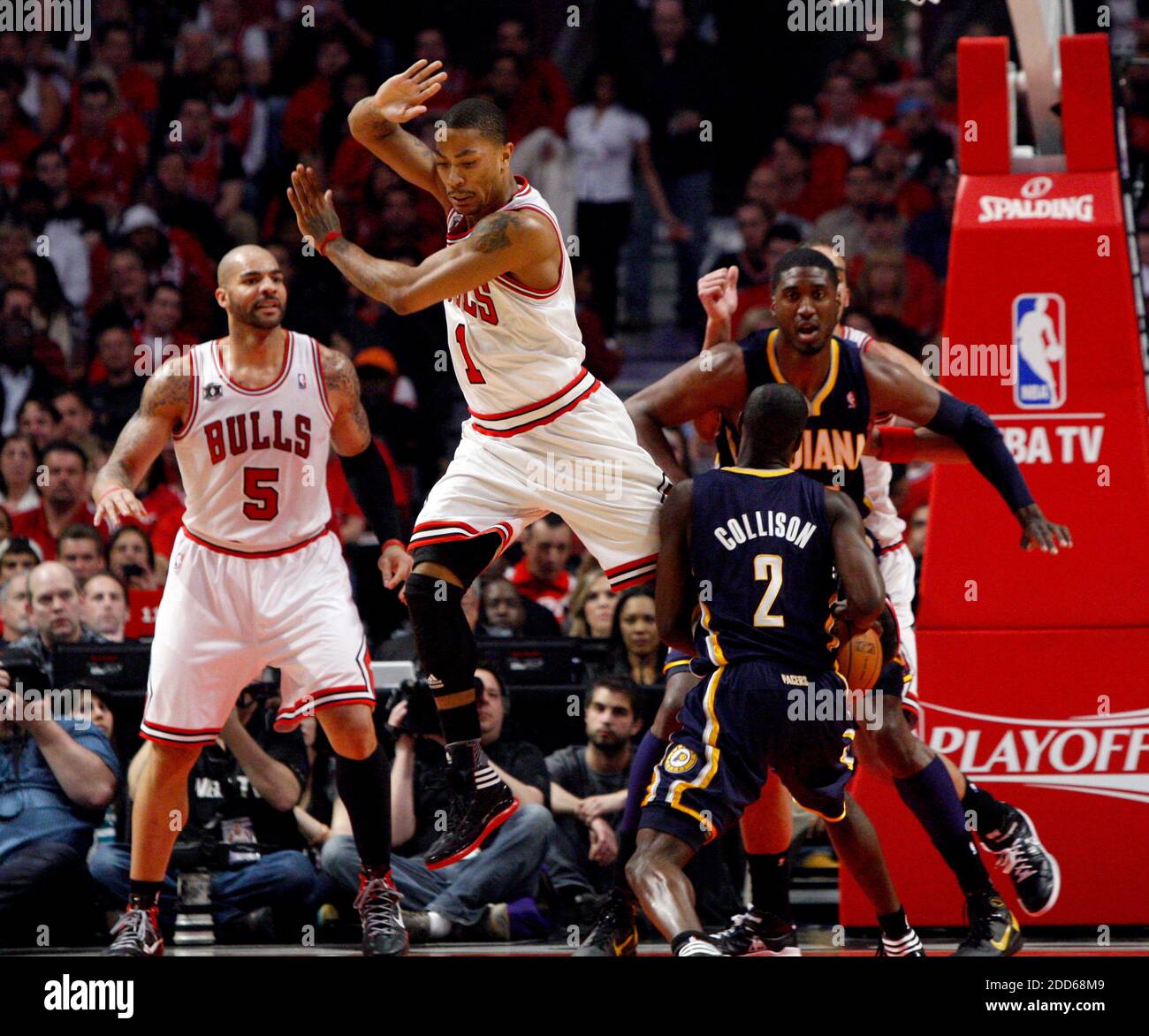 Darren rose best sale nba