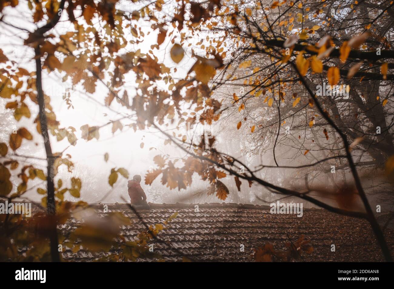 Little boy sitting high on the roof. Stock Photo