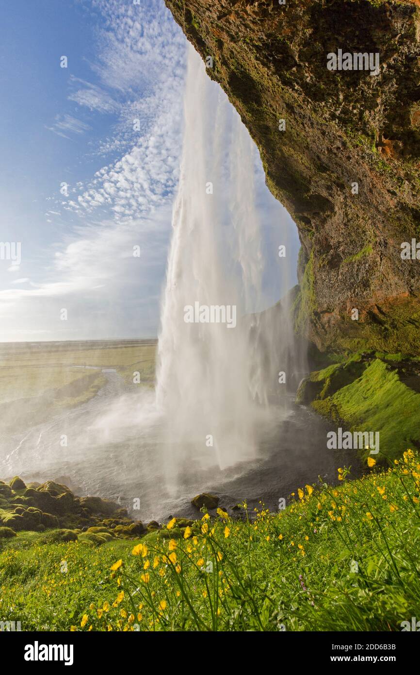 Seljalandsfoss waterfall, part of the Seljalands River in summer, South Region, Iceland Stock Photo