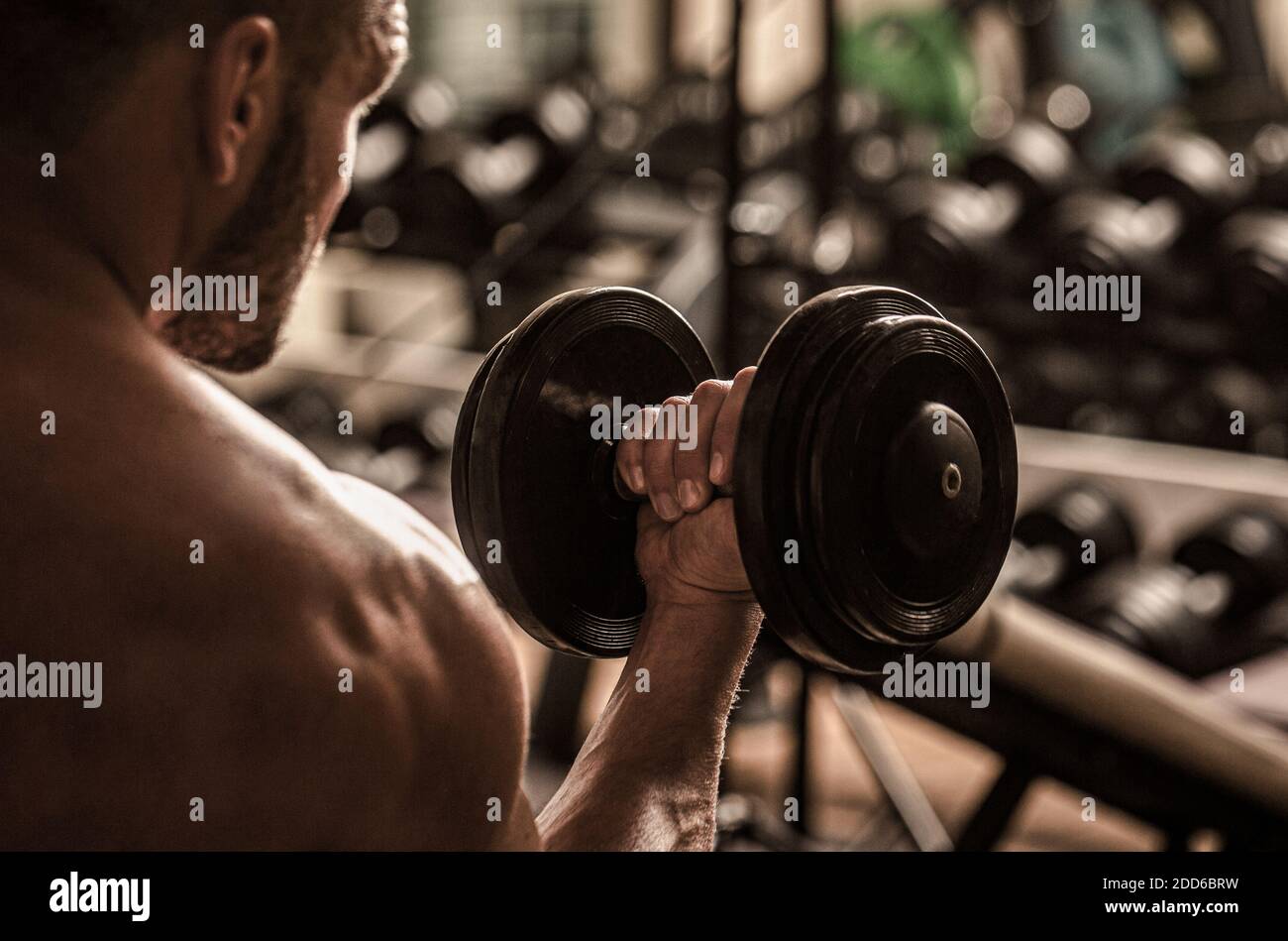 Dumbbell weights weight gym gymnasium barbell exercise sport hires