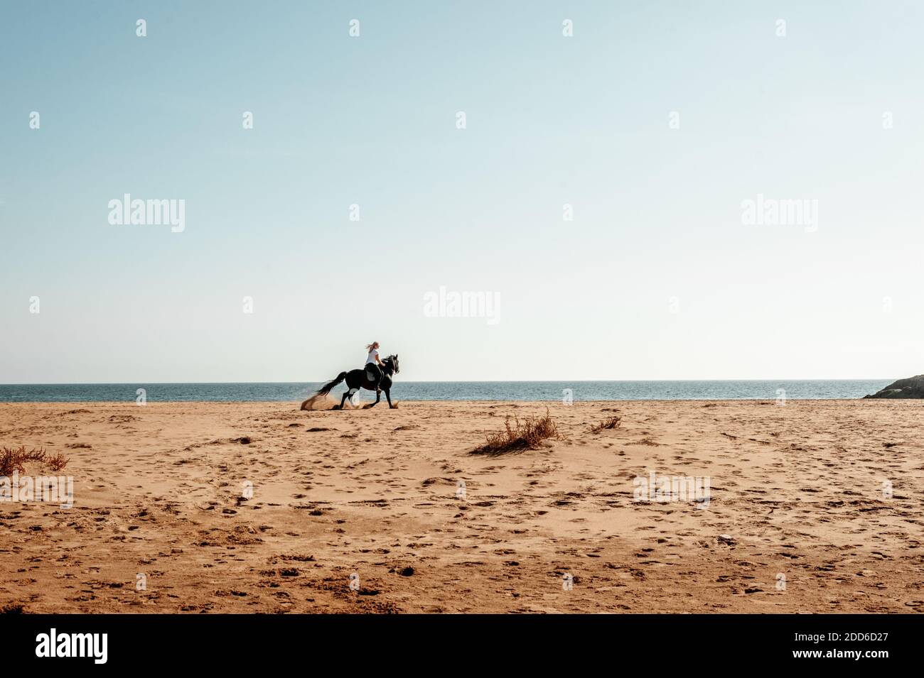 Woman riding a horse on beach Stock Photo