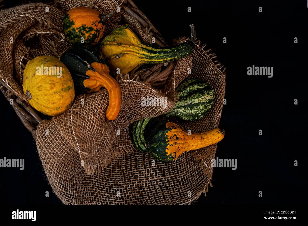 small pumpkins for decoration in a basket lined with flax Stock Photo