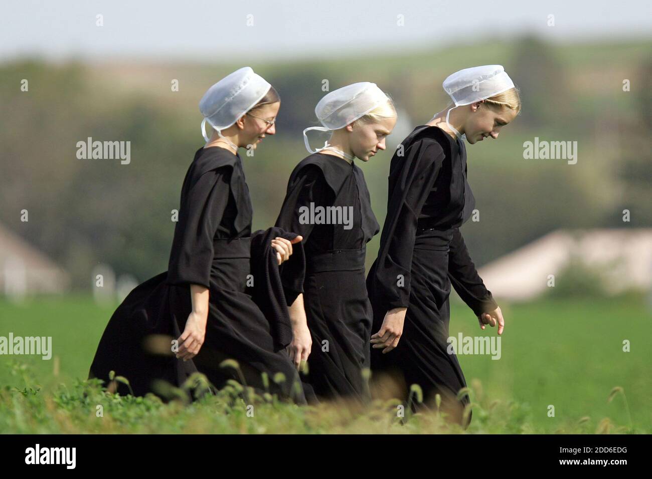 NO FILM, NO VIDEO, NO TV, NO DOCUMENTARY - Three Amish girls walk through a  field on their way to a prayer service in Nickel Mines, Pennsylvania  October 3, 2006. Yesterday Charles