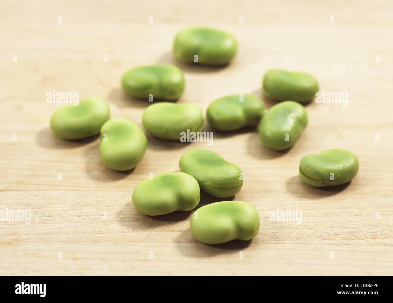 Fresh Broad Beans, vicia faba Stock Photo