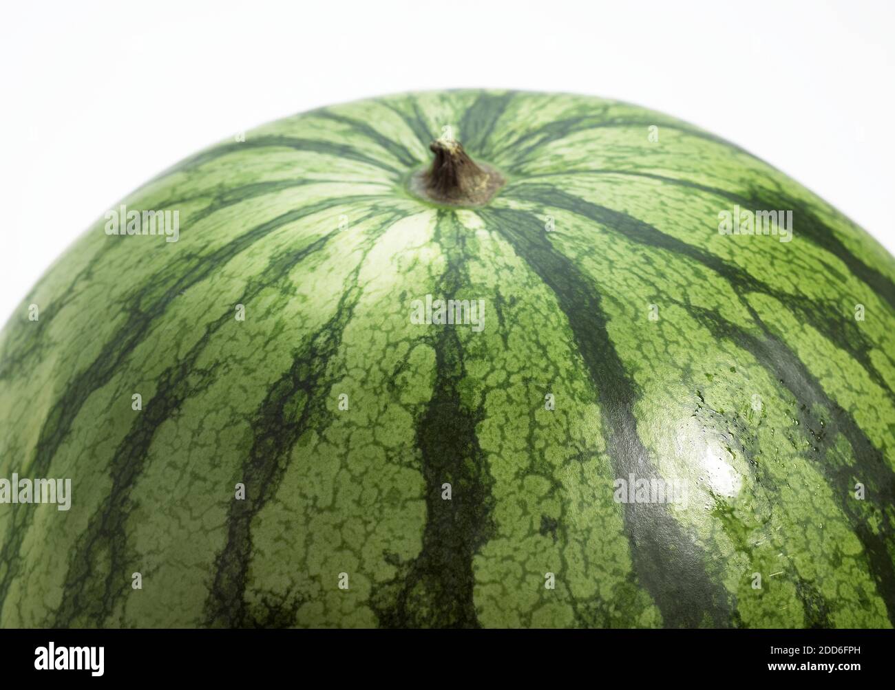 Watermelon, citrullus lanatus, Against White Background Stock Photo - Alamy