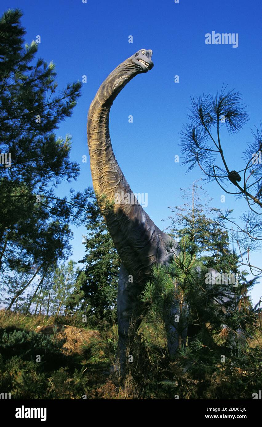Brachiosaurus, Gigantic Sauropod Herbivorous Dinosaur During the Jurassic Period Stock Photo