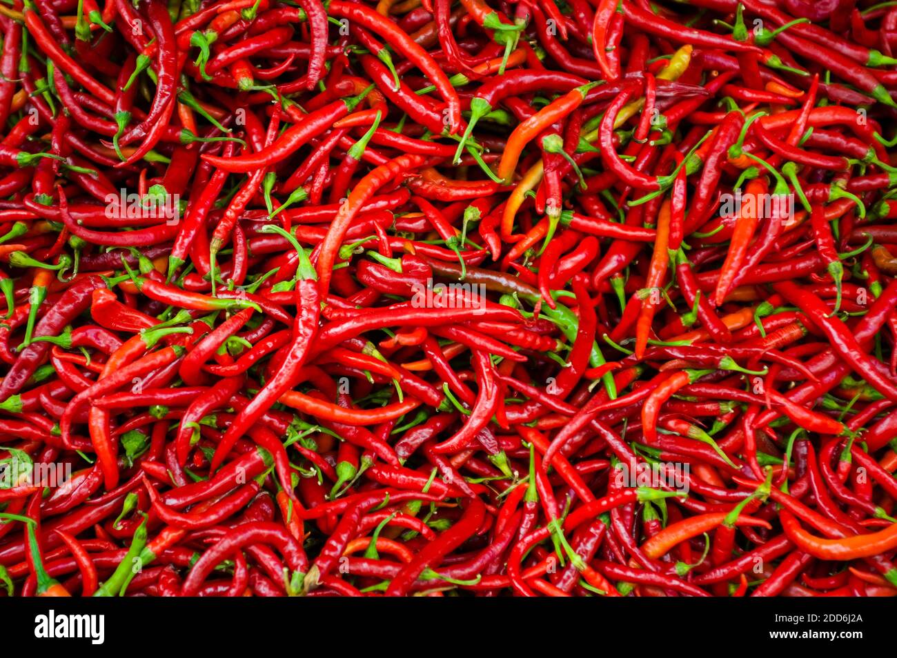 Red Chillies at the market in Dalyan, Mugla Province, Turkey, Eastern Europe Stock Photo