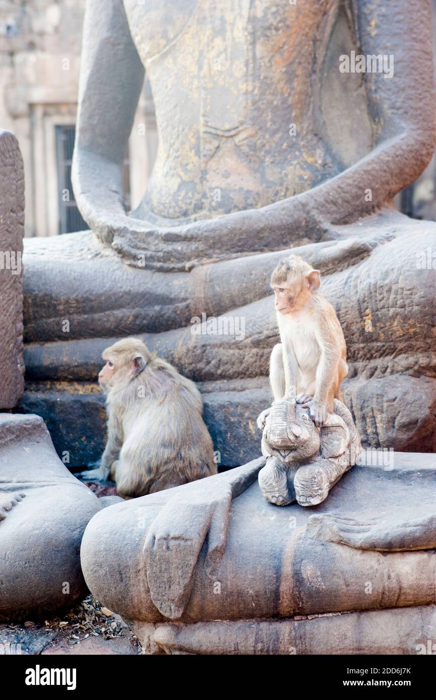 Two Monkeys Playing on a Buddha Statue at Phra Prang Sam Yot Buddhist Temple, Lopburi, Thailand, Southeast Asia Stock Photo