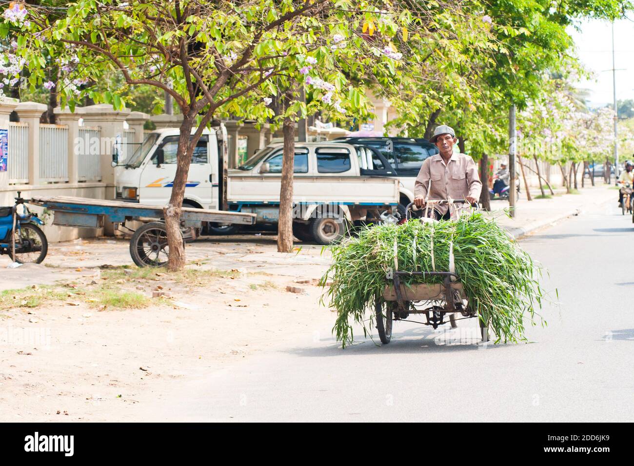 Worker Transporting Grass by Cyclo in Phnom Penh, Cambodia, Southeast Asia Stock Photo