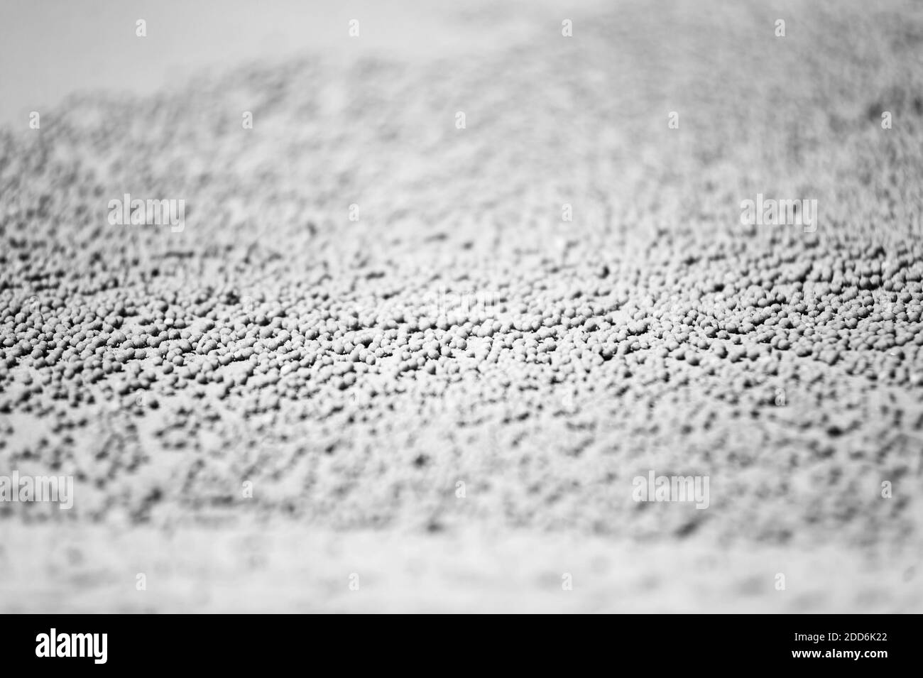 Black and White Photo of Sand Balls Created by a Crab on Seventy Five Mile Beach, Fraser Island, Queensland, Australia Stock Photo