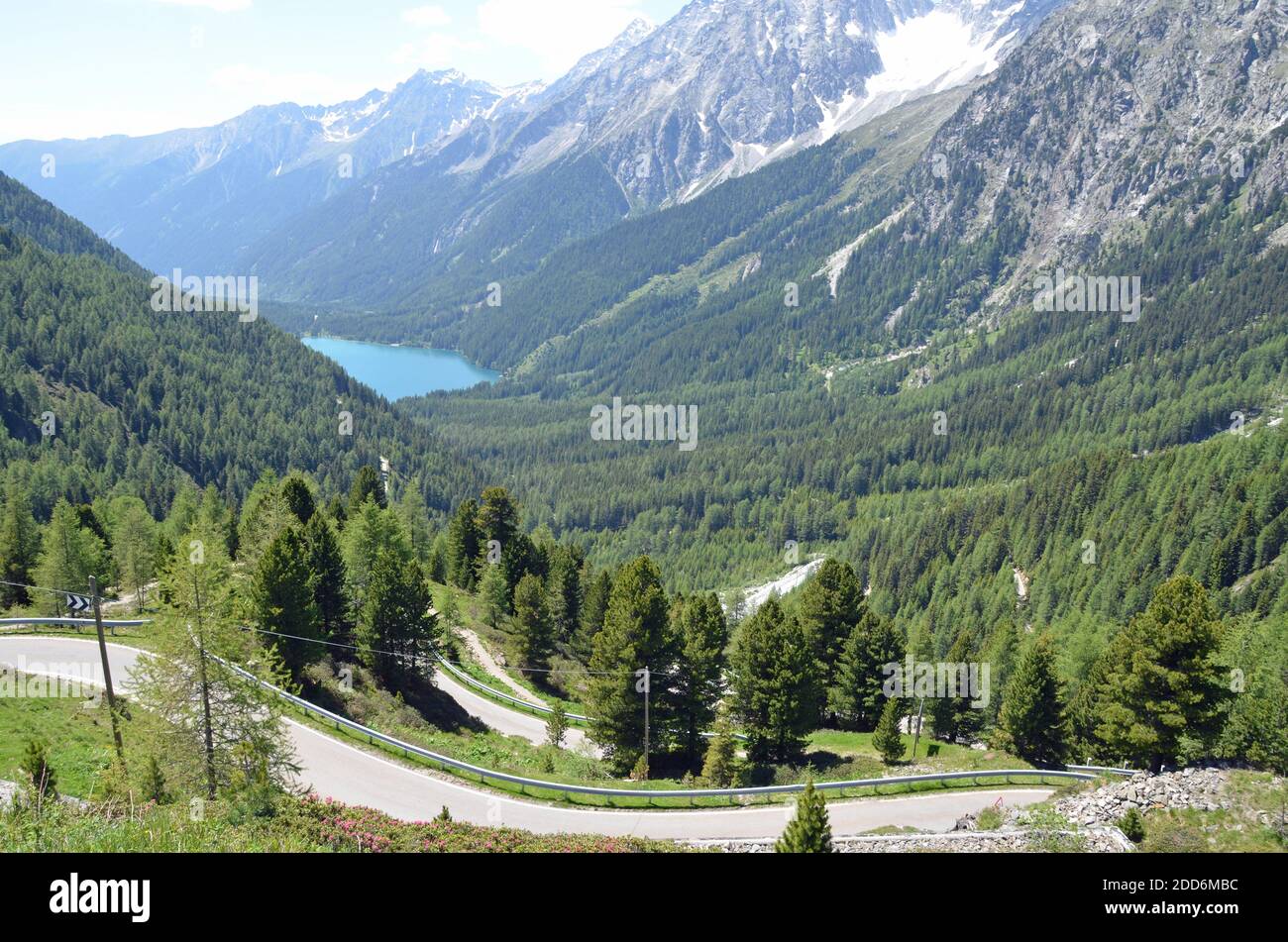 Summer day at the Staller Sattel on the border between Austria and Italy  Stock Photo - Alamy
