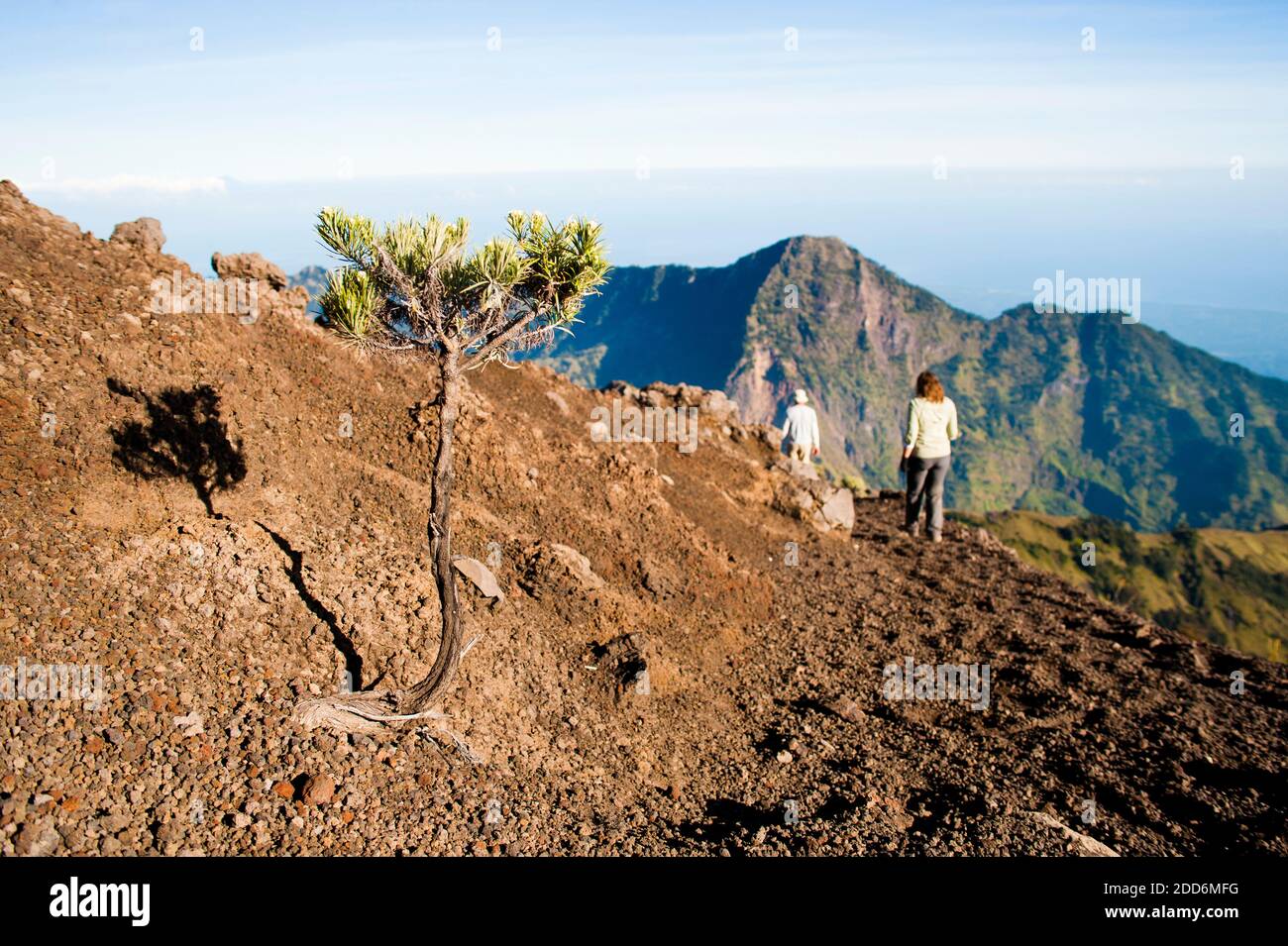 Lombok fauna hi-res stock photography and images - Alamy