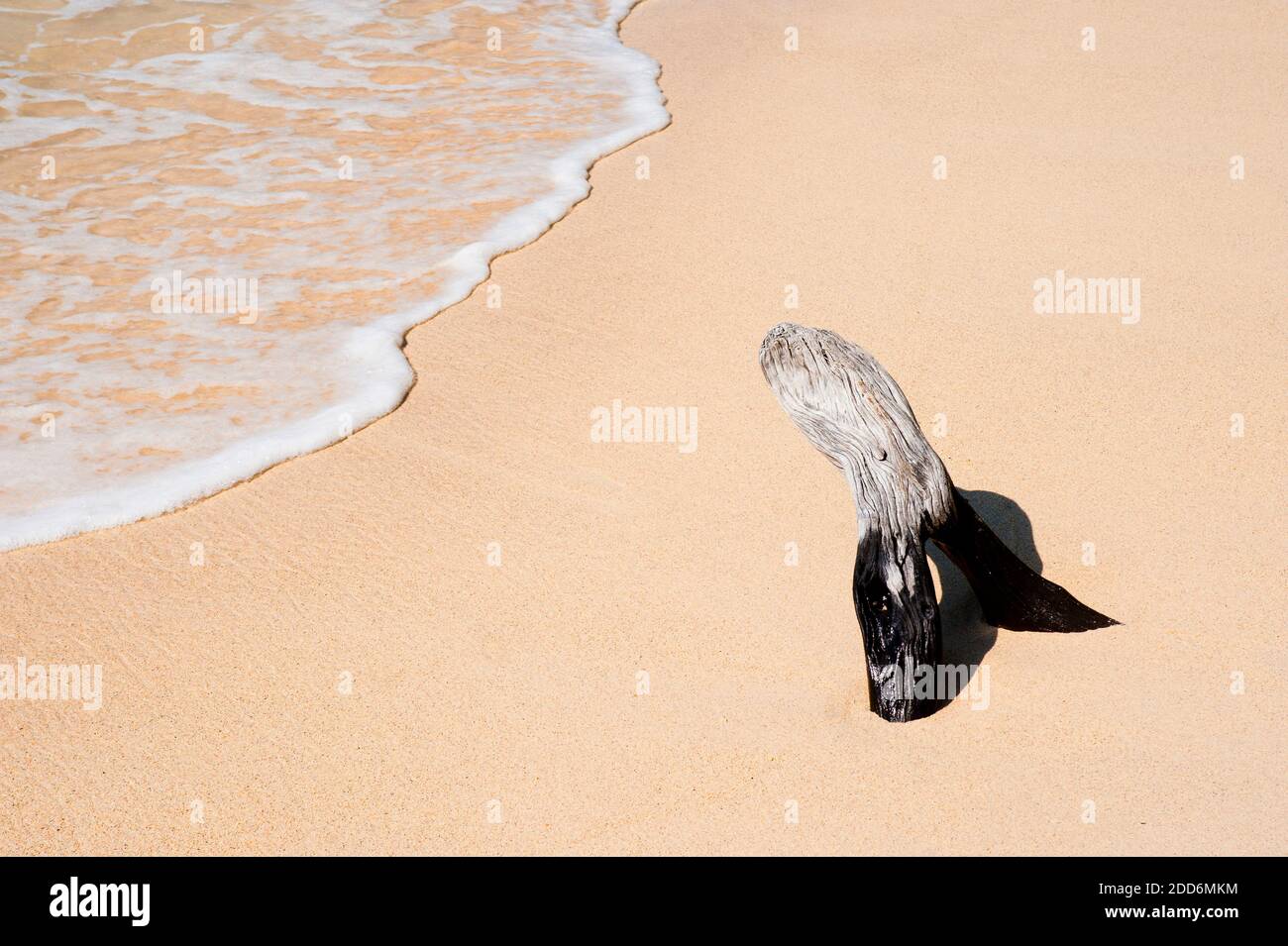 Gili gili hi-res stock photography and images - Alamy