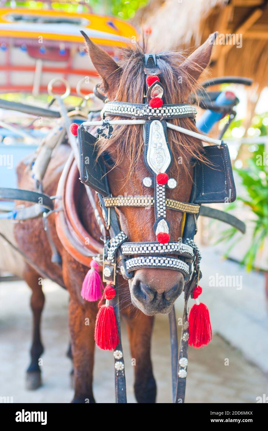 Horse and Cart on Gili Trawangan, Gili Isles, Indonesia, Asia Stock Photo