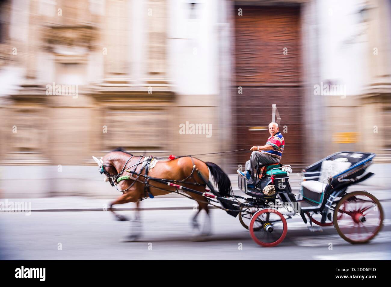 Horse and cart ride in Palermo Old Town, Sicily, Italy, Europe Stock Photo