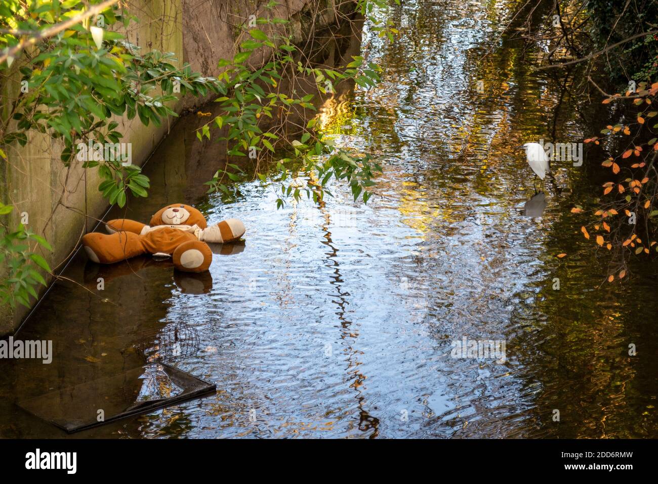 A large stuffed teddy bear dumped in Prittle Brook river culvert. Historic river of Prittlewell, and Southend, Essex, UK. Discarded child's toy Stock Photo - Alamy A large stuffed teddy bear dumped in Prittle Brook river culvert. Historic river of Prittlewell, and Southend, Essex, UK. Discarded child's toy Stock Photo - Alamy