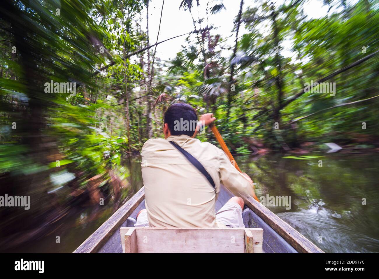 Dugout canoe ride in the Amazon Rainforest, Coca, Ecuador, South