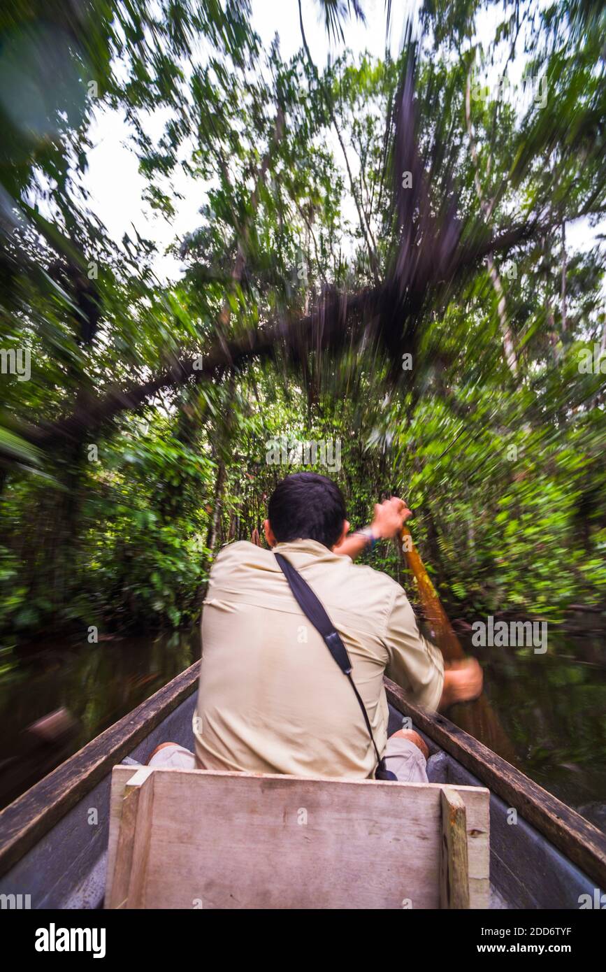 Dugout canoe ride in the Amazon Rainforest, Coca, Ecuador, South
