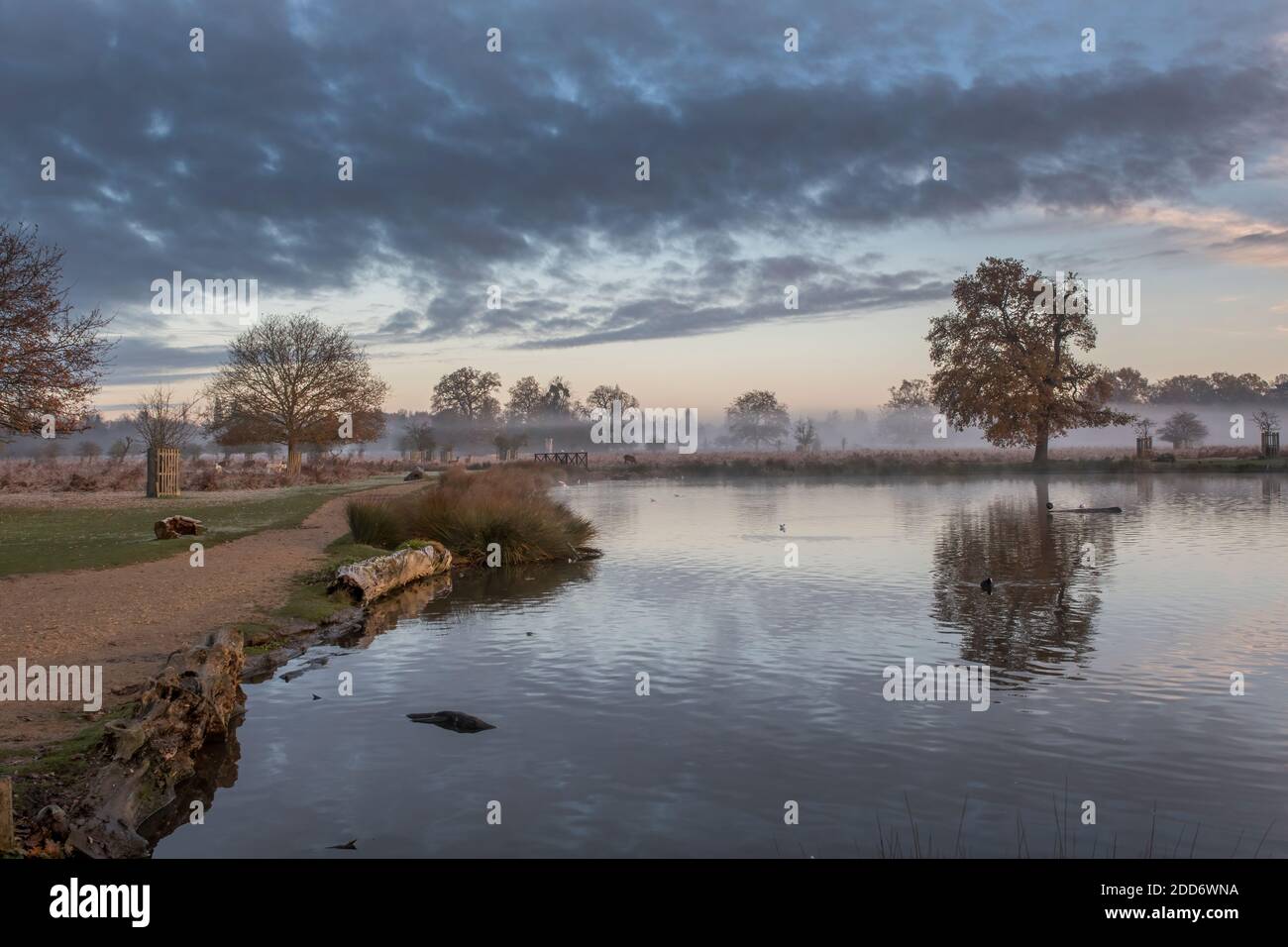 Morning Mist And Low Sunshine On A Cold November Morning Stock Photo Alamy