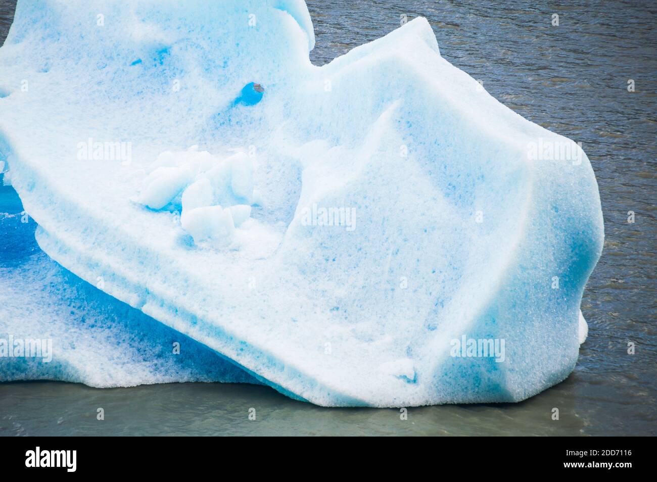 Icebergs from Grey Glacier (Glaciar Grey), Torres del Paine National Park, Patagonia, Chile, South America Stock Photo