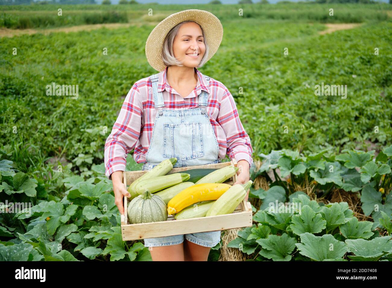 Cute girl in wearing Hat Picking Freshest Squash and Zucchini in a Garden. Autumn Vegetable Harvest Stock Photo