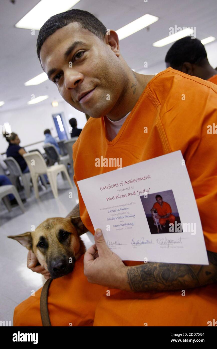 Dogs in prison hires stock photography and images Alamy