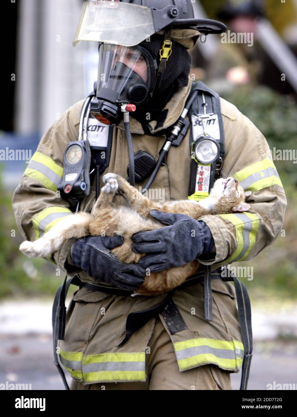 https://c8.alamy.com/comp/2DD772G/no-film-no-video-no-tv-no-documentary-boise-firefighter-dana-brown-carries-a-cat-from-an-apartment-building-that-had-caught-fire-this-is-my-first-cat-rescue-said-brown-an-11-year-veteran-of-the-department-in-boise-id-usa-on-november-9-2007-photo-by-chris-buleridaho-statesmanmctabacapresscom-2DD772G.jpg