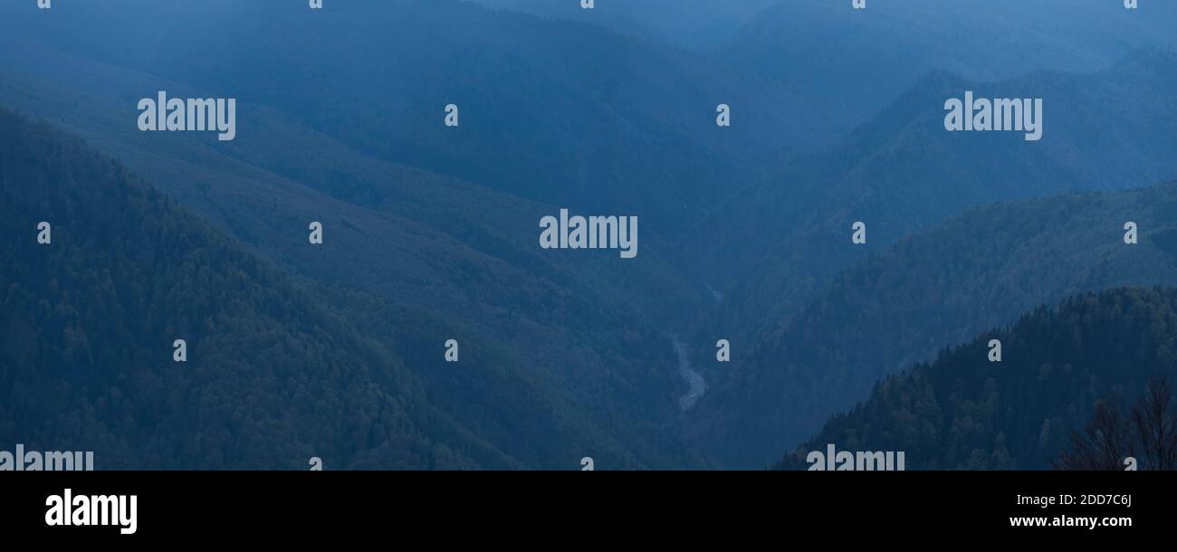 Misty forest landscape at dusk at Ranca in the Carpathian Mountains, Oltenia Region, Romania Stock Photo