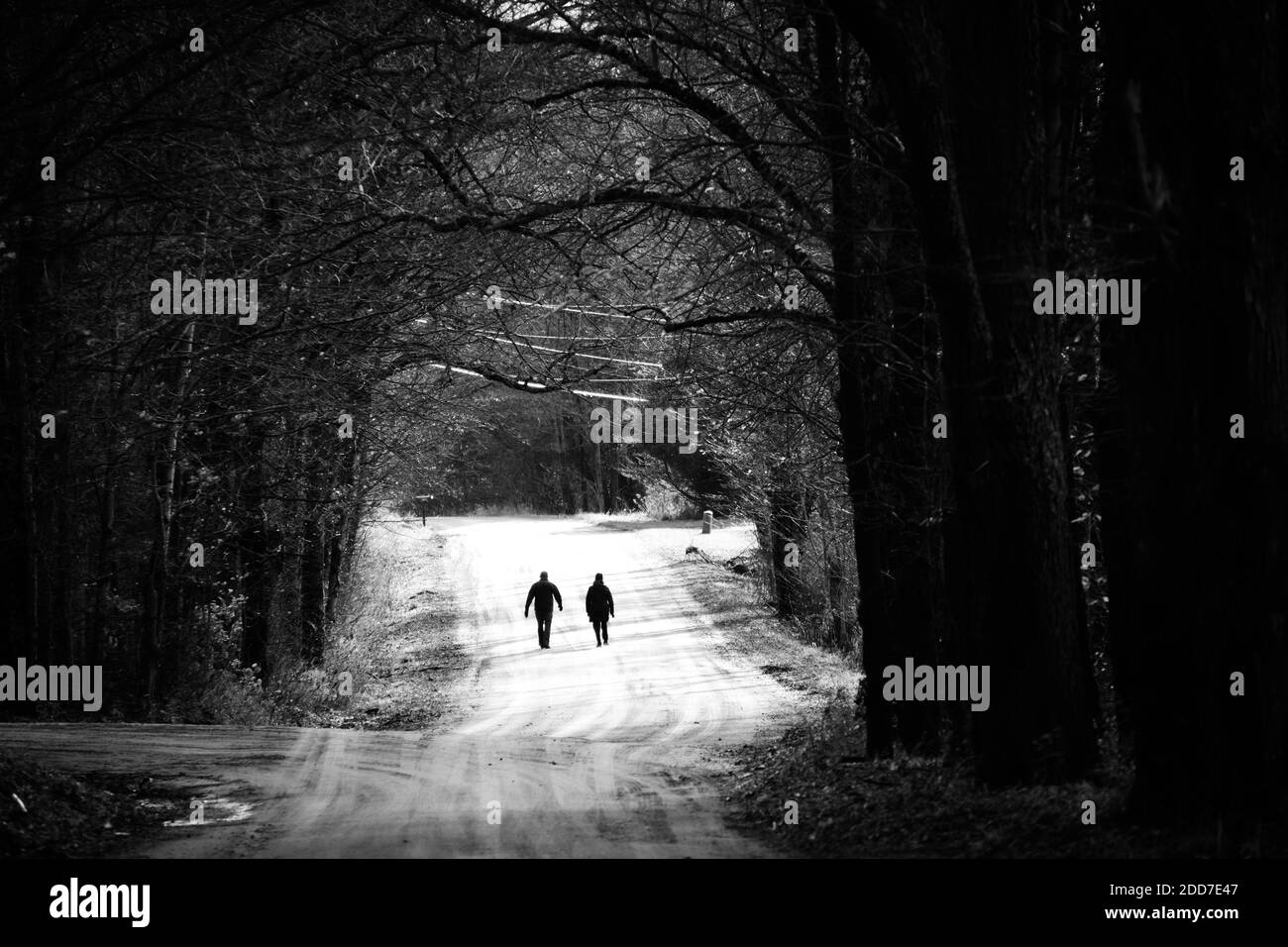 A couple are silhouetted as they walk on a rural dirt road, East Montpelier, VT, New England, USA. Stock Photo