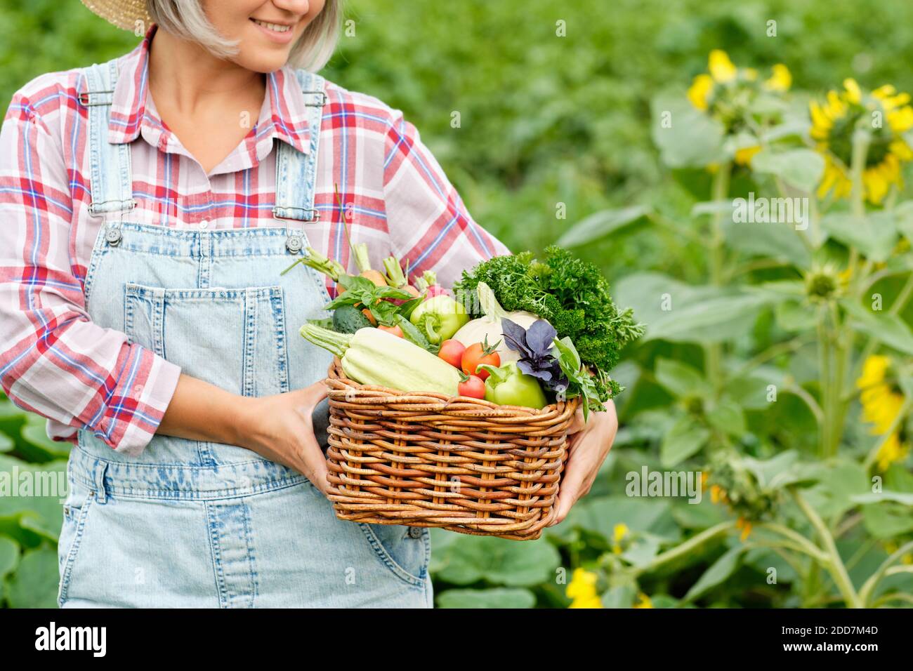 Woman Holding a Basket full of Harvest Organic Vegetables and Root on ...